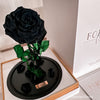 New Grand Everlasting Rose - Black - Forever Fleurs