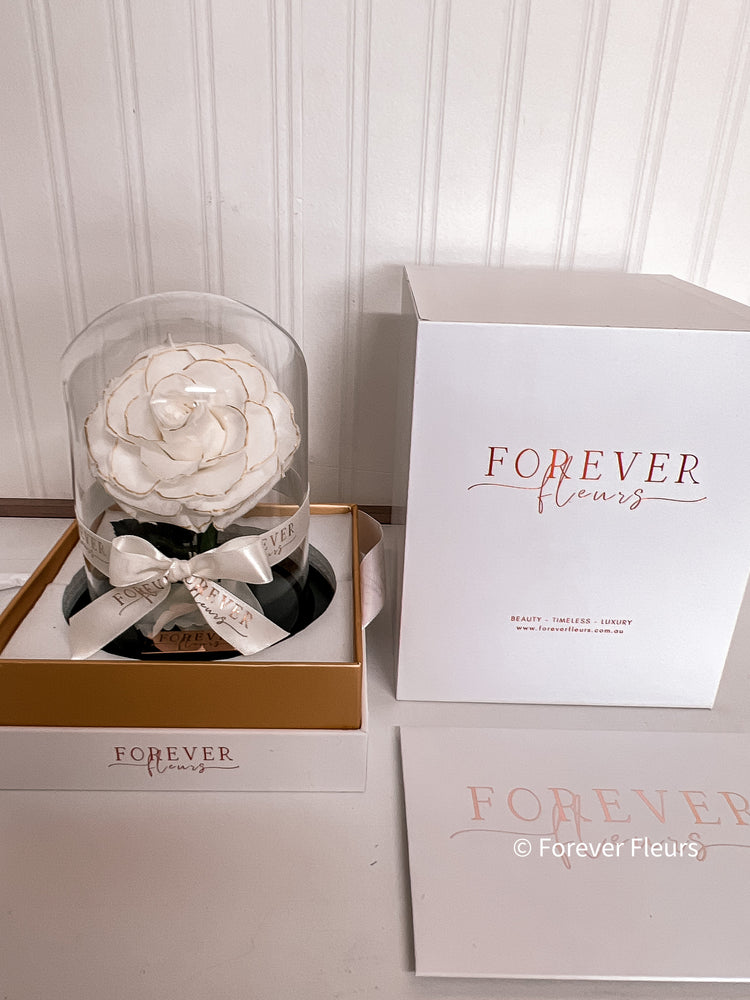 New Mini Everlasting Rose - White and Gold