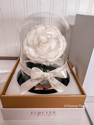 New Mini Everlasting Rose - White and Gold - Forever Fleurs