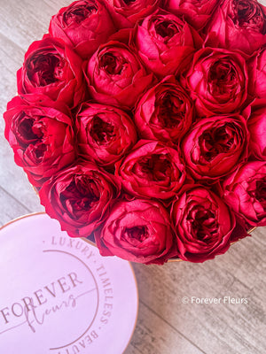 Peony Perfection Pink Box - Grand - Forever Fleurs