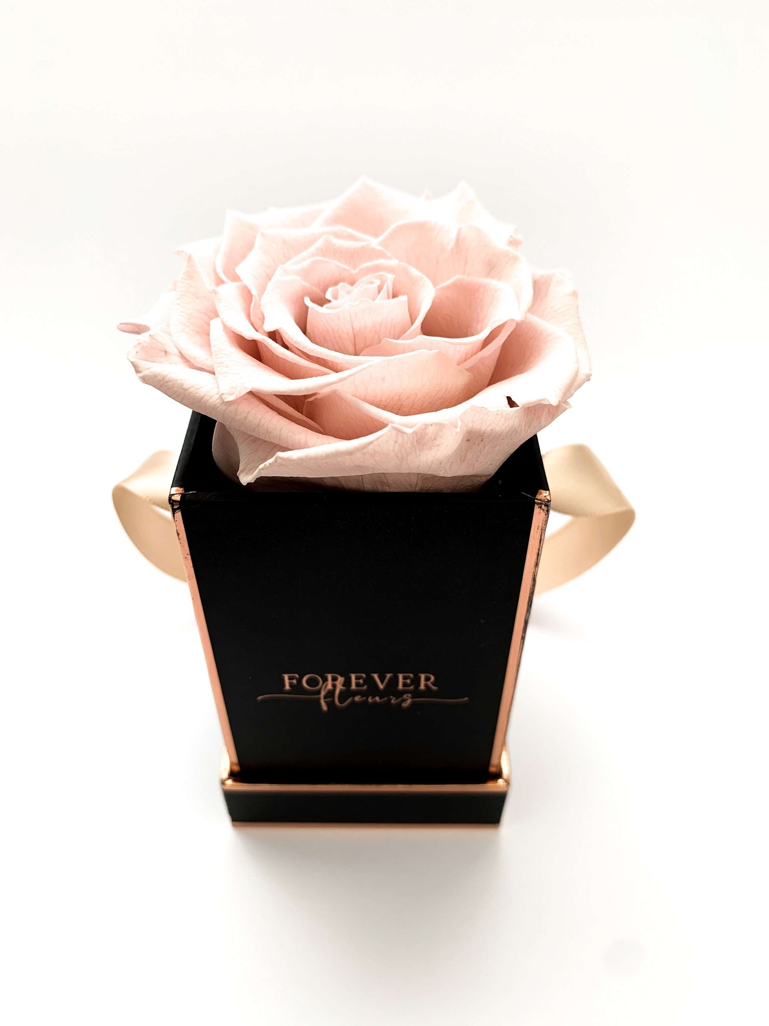 Forever Roses Mini Forever Alone Rose
