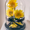 Sample Grand Sunflower Dome - Forever Fleurs