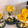 Sample Grand Sunflower Dome - Forever Fleurs