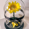 Sample Grand Sunflower Dome - Forever Fleurs