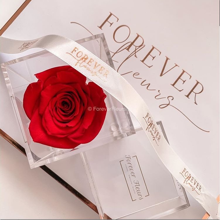 Single Acrylic Rose Box (FREE GIFT BOX!)