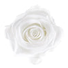 Single Acrylic Rose Box with drawer (FREE GIFT BOX!) - Forever Fleurs