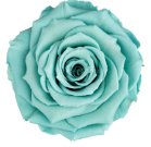 Single Acrylic Rose Box with drawer (FREE GIFT BOX!) - Forever Fleurs